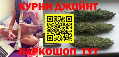 стаф Кинель